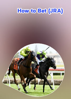 Horse betting